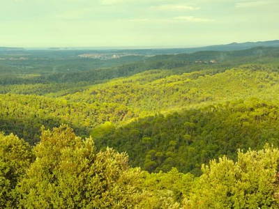 Bild 15 aus  Villa CP