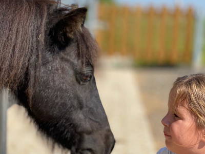 Bild 18 aus  Reiherhof