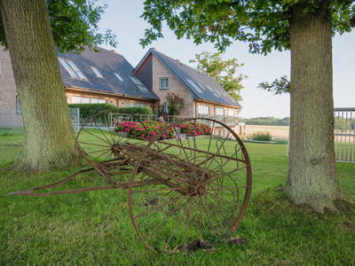 Bild 109 aus  LandSelection Ferienbauernhof Liesenberg mit traumhaften Meerblick