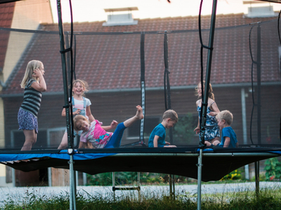 Bild 11 aus  Bauernhof Härtel