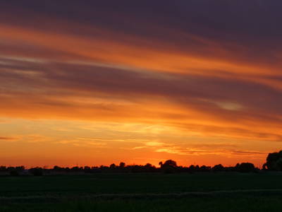 Bild 15 aus  Hollerhof-Oderbruch