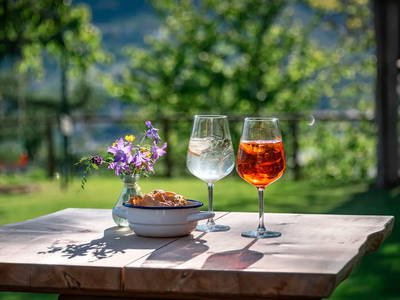 Bild 10 aus  Trinnerhof