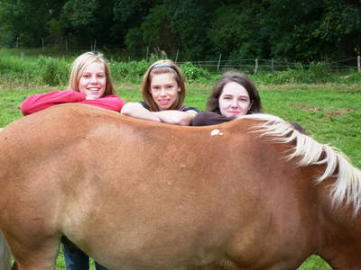 Bild 43 aus  Hof Grüneberg