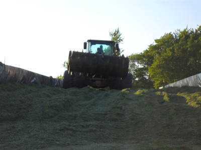 Bild 43 aus  Ferienhof Jansen