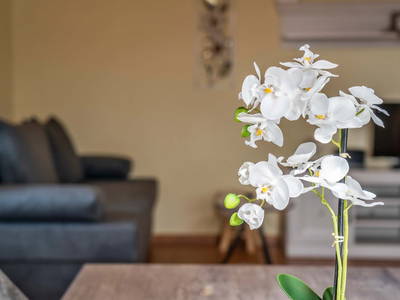 Bild 3 aus  Ferienwohnungen Wagner