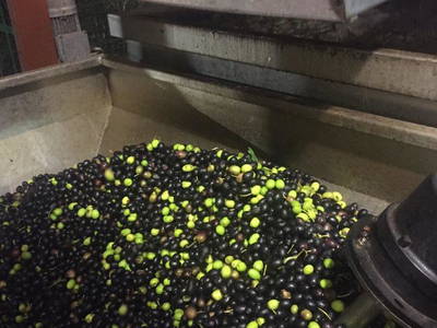 Bild 21 aus  Casa Nova