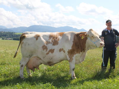 Bild 21 aus  Auf'm Reifnhof: Ihr Kreativhof am Simssee im Chiemgau