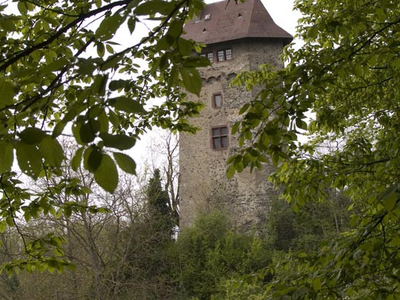 Bild 14 aus  Winzerhof Wiedemann