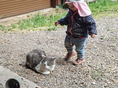 Bild 55 aus  Langenhof im Schwarzwald bei Oppenau