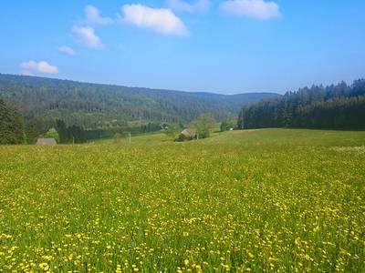 Bild 22 aus  Farnbauernhof