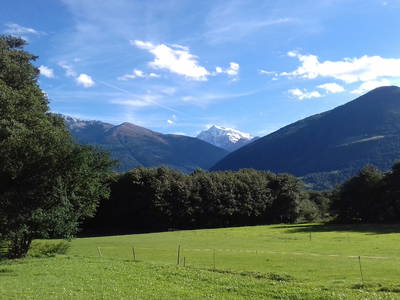 Blick auf den Ortler