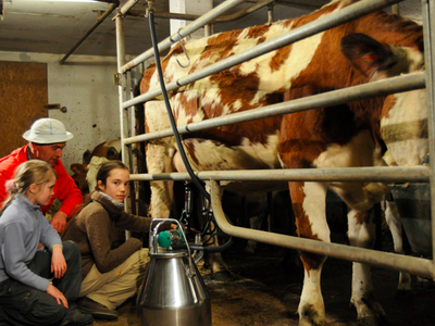 Bild 27 aus  Glinzhof