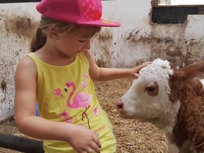 Bild 10 aus  Ederhof