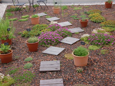 Bild 8 aus  Callhof Biohof