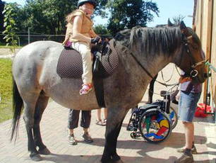 Bild 31 aus  Hof Grüneberg