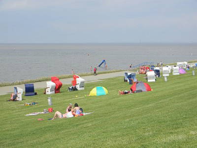 Bild 17 aus  Bauernhof Meyn