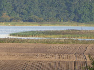 Bild 28 aus  Ferienhaus Gut Rattelvitz-INSEL RÜGEN