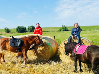 Ausritt mit den Ponys mit Blick auf den Nordseedeich