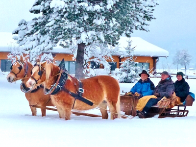 Bild 36 aus  Augustinerhof
