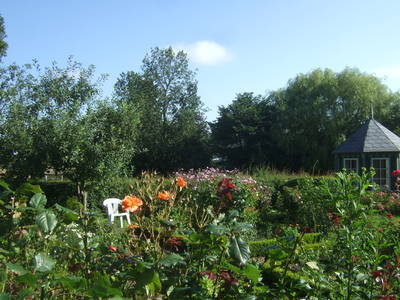 Bild 12 aus  Urlaub bei Familie Schmidt in Wippendorf