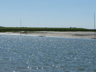 Bild 11 aus  Harder Urlaubsdomizile