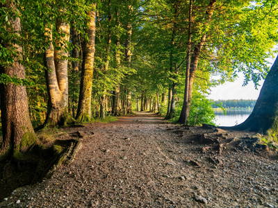 Bild 22 aus  Ferienhof Rösch