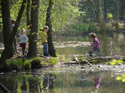 Bild 16 aus  Biohof Grafel - ein Ort, der verbindet