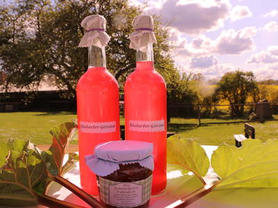 Bild 24 aus  LandSelection Ferienhof Radlandsichten