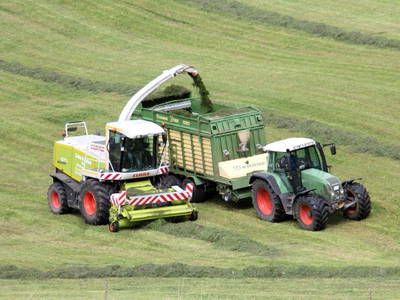 Bild 49 aus  Allgäu Bergferienhof