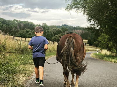 Bild 13 aus  Der Wassermannshof