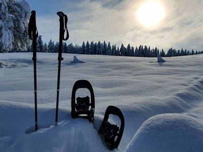 hörst du den Schnee?