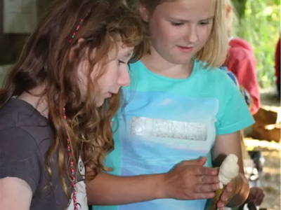 Bild 10 aus  Dahmerhof