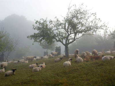 Bild 14 aus  Behringhof am Gamengrund