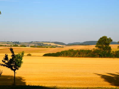 Bild 28 aus  Gutshof Gress