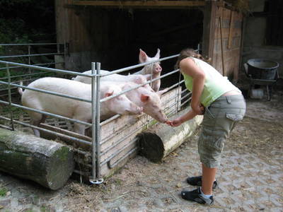 Bild 9 aus  Hof Carmshausen & Pension Hotze