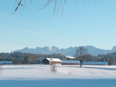 Bild 8 aus  Reicharthof