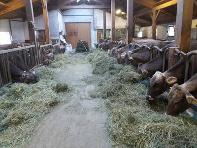 Bild 12 aus  Bruggerhof