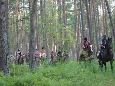 Bild 19 aus  Bernsteinreiter Hirschburg