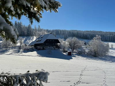 Rüttwaldhof im Winter