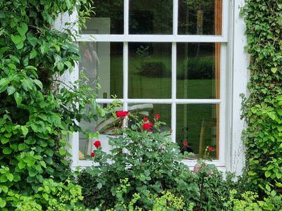 Blick vom Garten