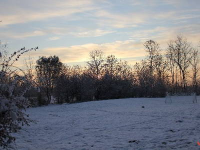 Bild 41 aus  Ommen Ferienhof