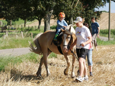 Bild 9 aus  Ferienhof Johannsen