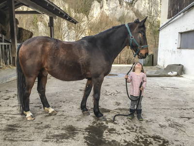 Bild 23 aus  LandSelection Gutshof Käppeler