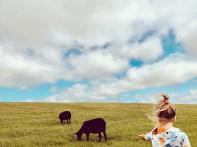 Kinder kommt Schafen und Lämmern näher