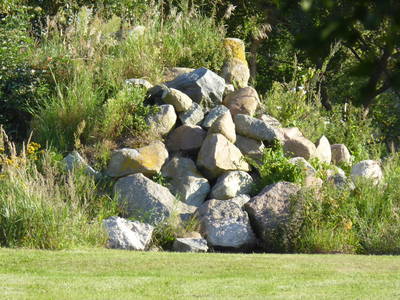 Bild 48 aus  Ferienhaus Gut Rattelvitz-INSEL RÜGEN