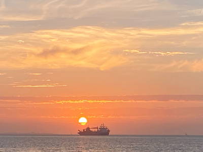 Bild 14 aus  Hof Vorwerk Familie Böye