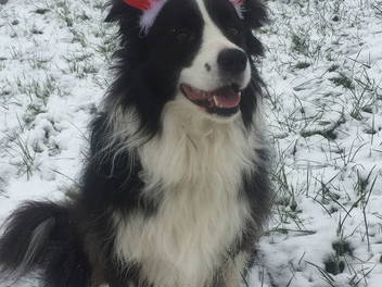 Bild 12 aus  Ferienhof Christmann