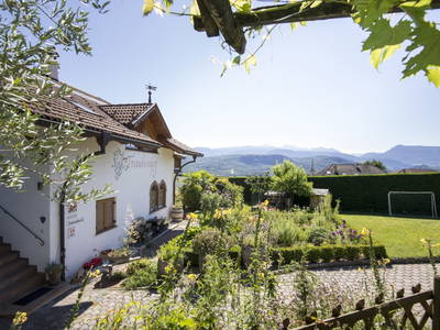 Bild 2 aus  Traubenhof    Pures Leben-Echt und natürlich