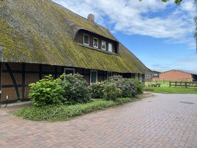 Bild 9 aus  Ferienhof Klaucke