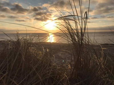 Bild 74 aus  Ostsee Ferienhof Kluvetasch